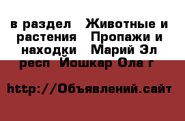  в раздел : Животные и растения » Пропажи и находки . Марий Эл респ.,Йошкар-Ола г.